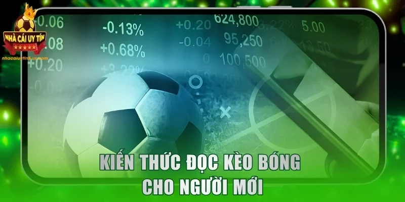 Kiến thức đọc kèo bóng cho người mới